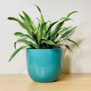 A sea green coffee mug-shaped planter pot with a glossy finish. The planter pot includes a drainage hole.