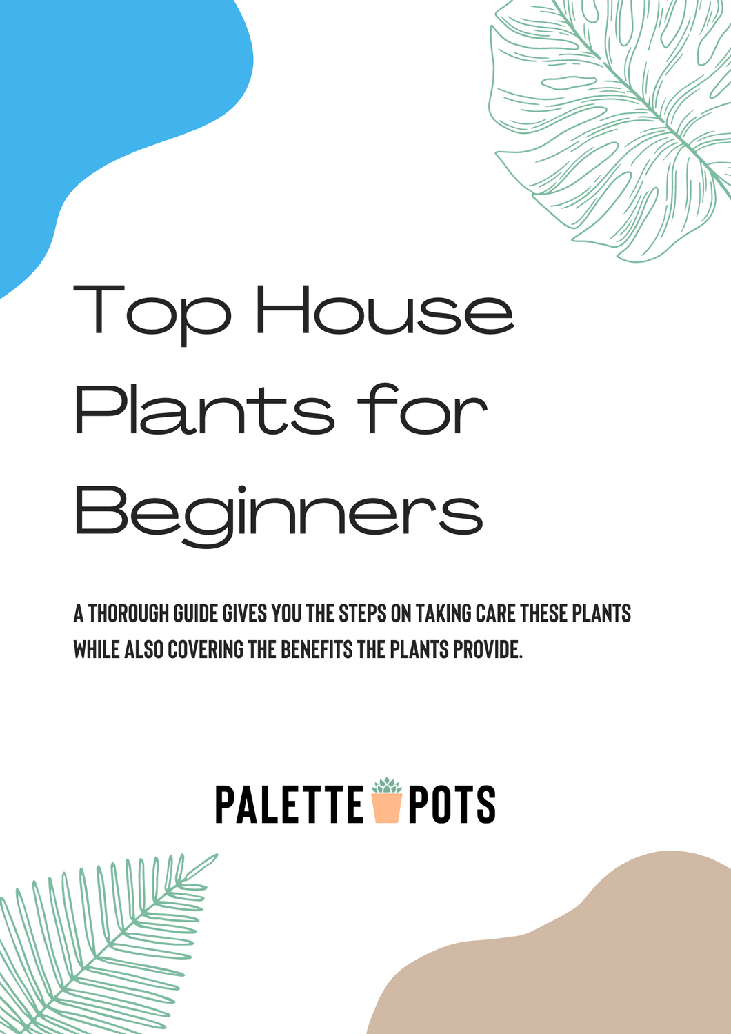 Top House Plants for Beginners - eBook