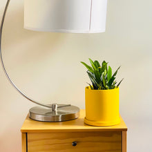 Load image into Gallery viewer, The Cyn is a bright yellow cylinder-shaped planter pot. The planter pot has a drainage hole and a saucer that helps catch water.
