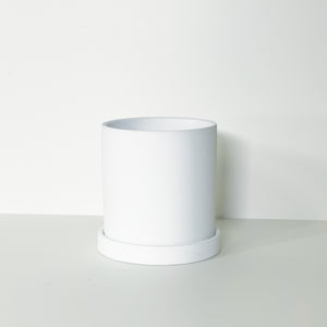 The Cyn is a white cylinder-shaped planter pot. The planter pot has a drainage hole and a saucer that helps catch water.